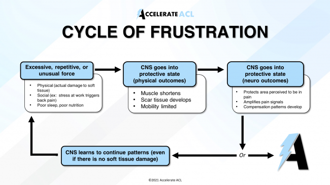 Months-After-ACL-Surgery months-after-acl-surgery